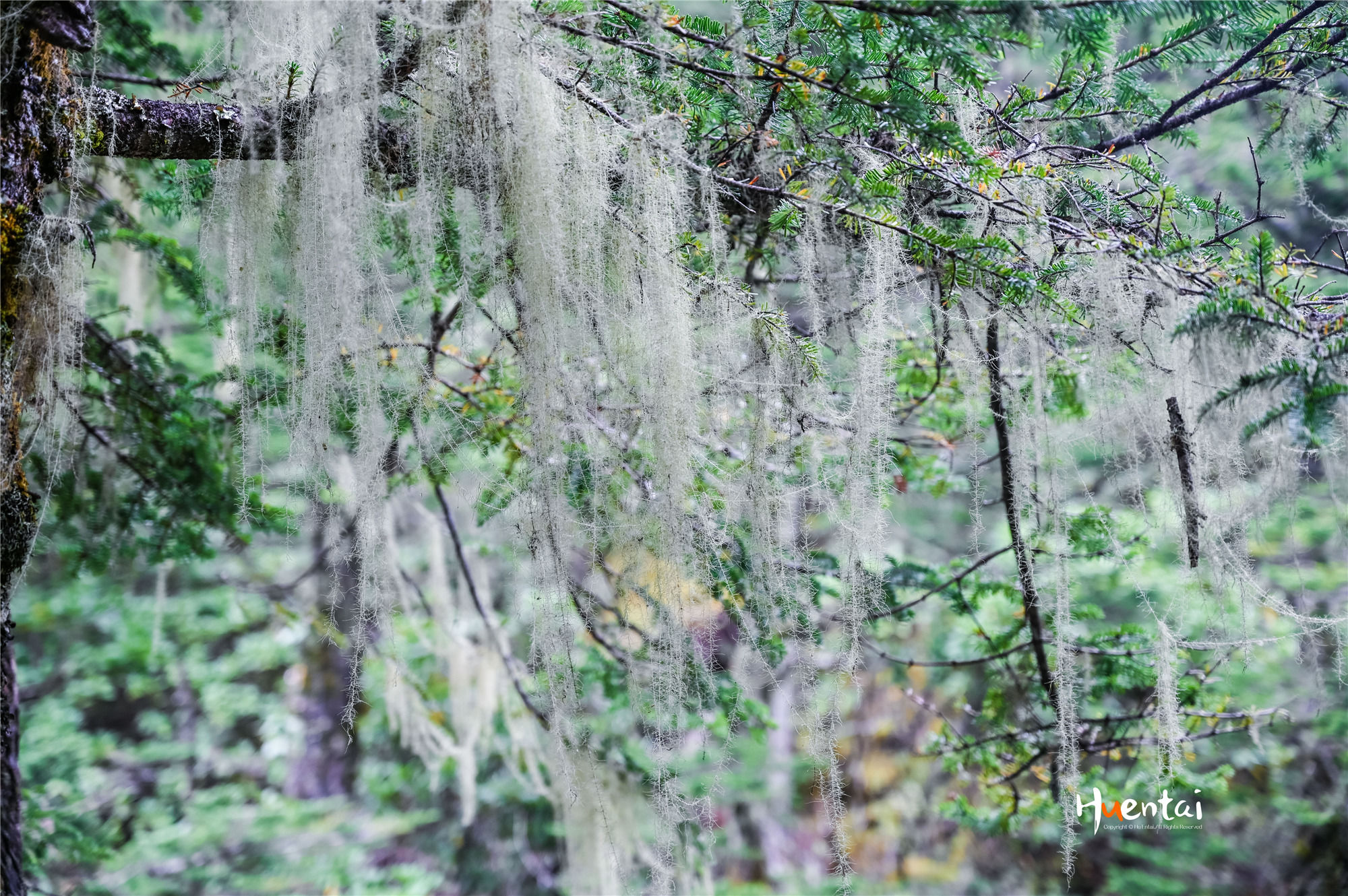 出发即收获，自驾川西秘境木格措