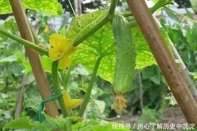  新房@不在农村住了，为什么很多人还要回老家盖一栋新房？