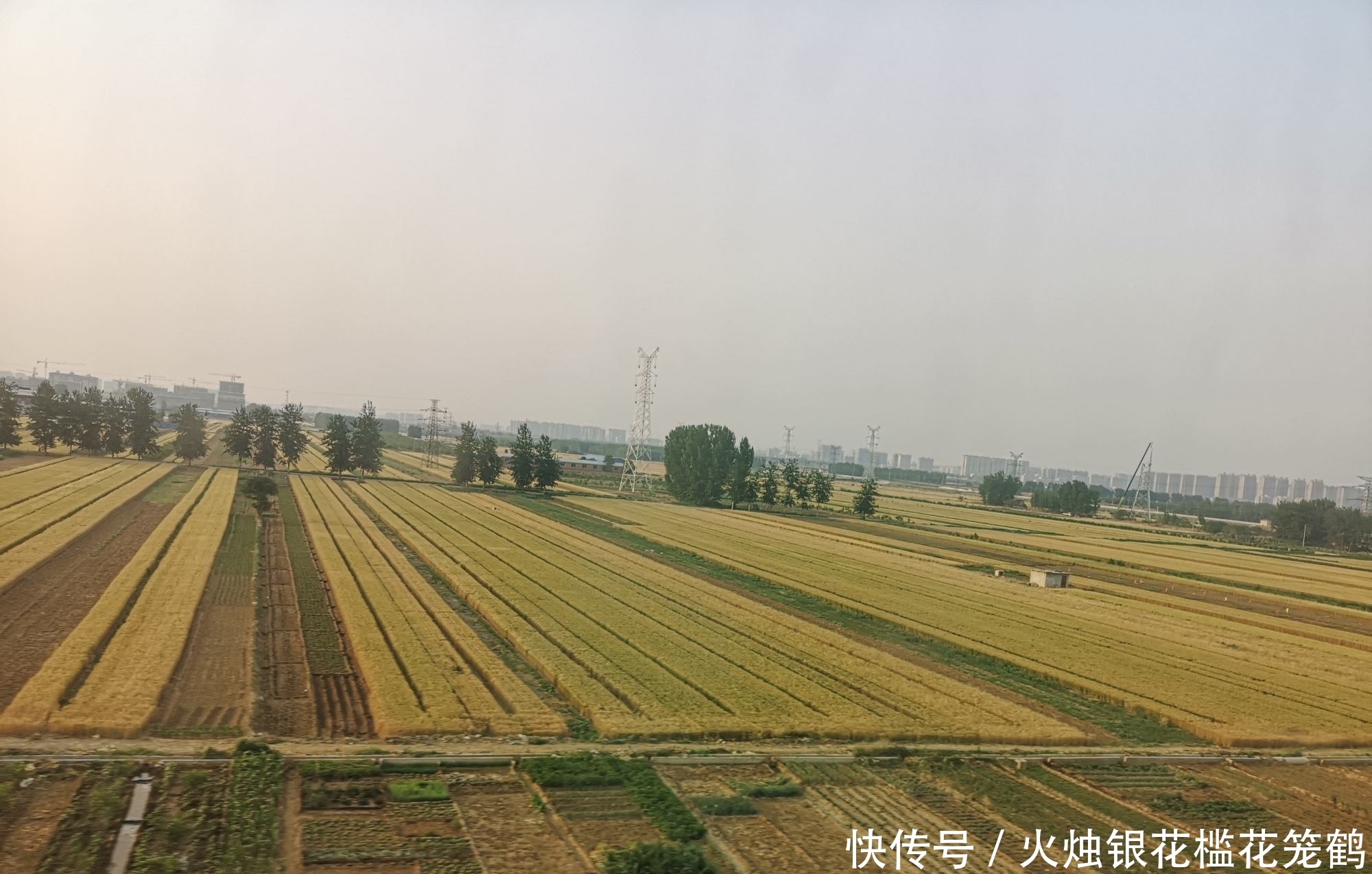 土地承包再延长30年，没有分到土地的农民该咋办？一直不种地吗？