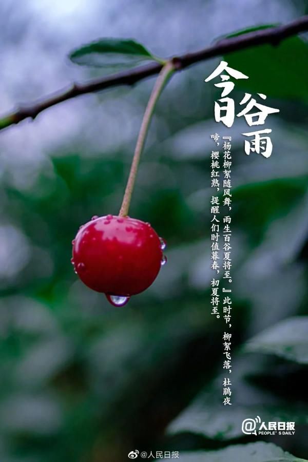  『节奏』最高温38℃！你以为海南入夏的节奏要来了？然而……