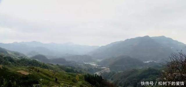 家门口有了新职业!省心又赚钱,青年老人都能做