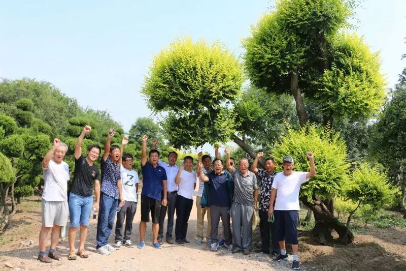 庭院深深，中式庭院 · 怡然自得