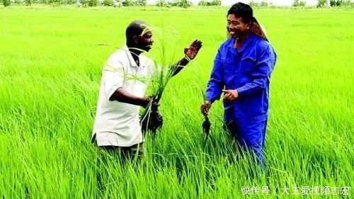 中国全国铁路线