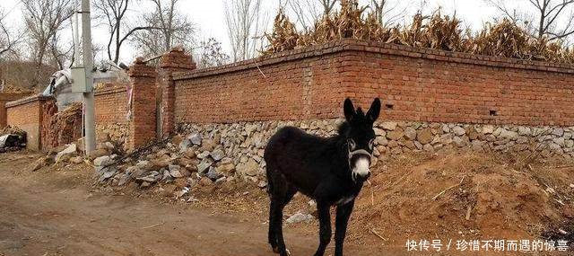 10年后，农村4类人将成“有钱人”，看看有没有你