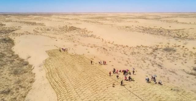 上亿用户在蚂蚁森林种树，马云做了件好事，现沙漠变成什么样了？