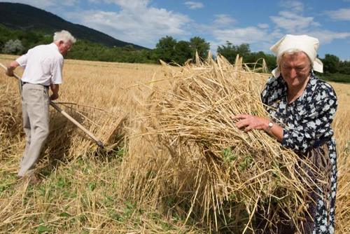 获得诺贝尔奖最多的国家，最支持中国人，四周不临海却最会玩水！
