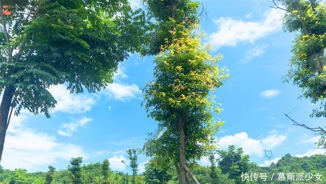 成都亚丁十日行之西出成都，目标泸定：川西处处是美景