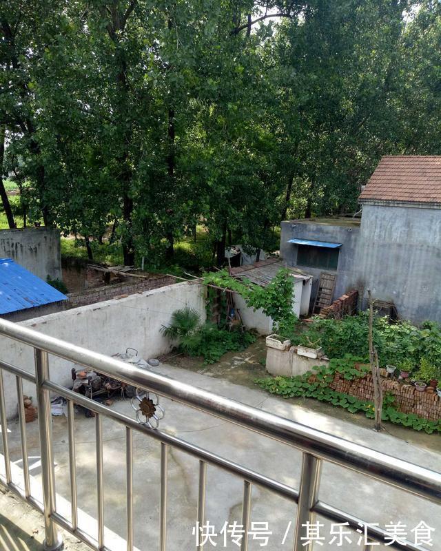  我家：休假回农村来了，晒晒我家的农村小院，还是农村好！