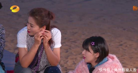 亲爱的客栈第三季张翰退出