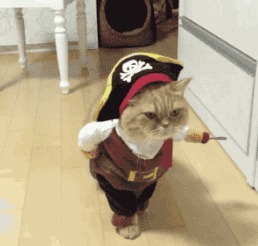 学生党平价彩妆合集|500块搞定你的化妆包!