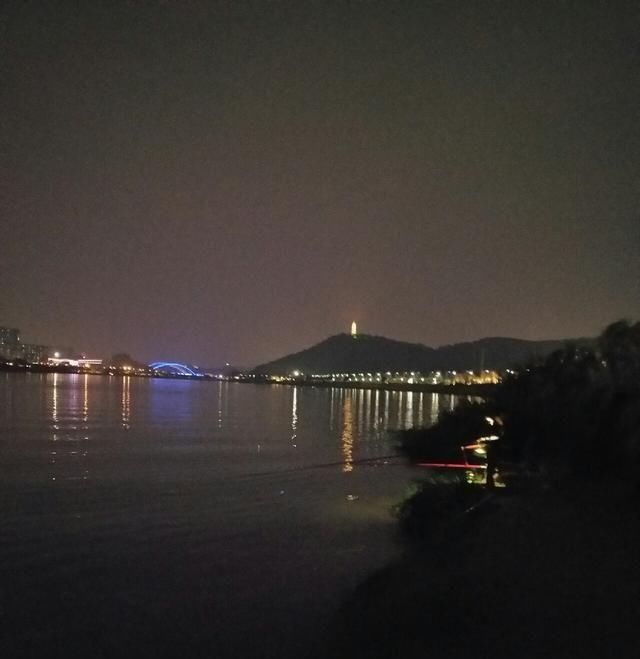  【时间】话说这个季节钓鲤鱼也要逗钓吗？钓友怎么看