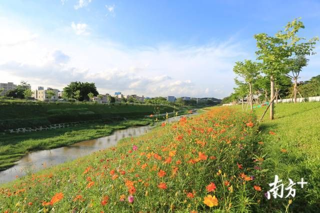  【出炉】深圳74街道3月PM2.5浓度排名出炉，这些街道名列前十