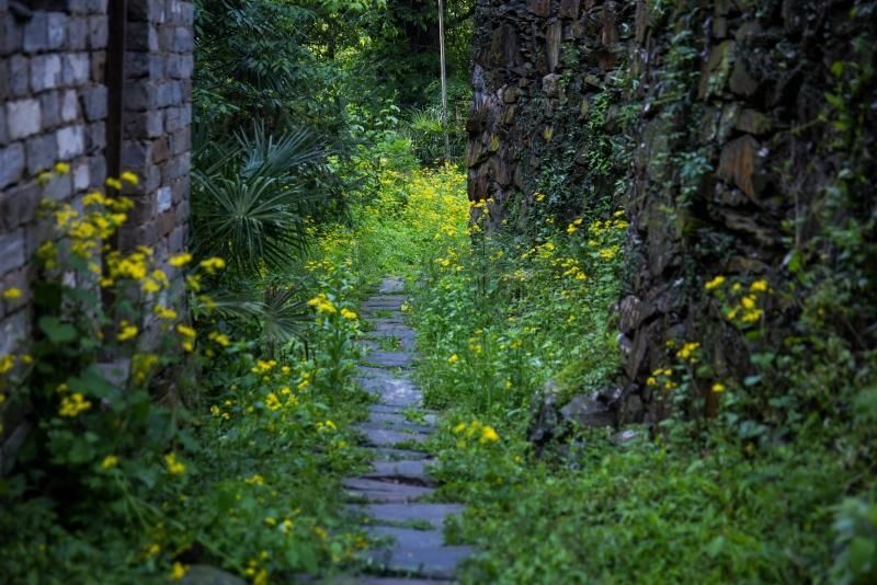 600多年的明朝古村落无人问津，是山高林深还是我们忘本