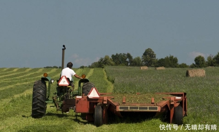 近几年，农民可领这3项补贴，补贴金额可能比粮补的还多