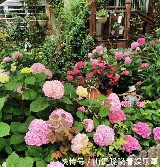  「平方」有了30平方的小院，能将日子过成了诗？简单而精致，优雅而从容！
