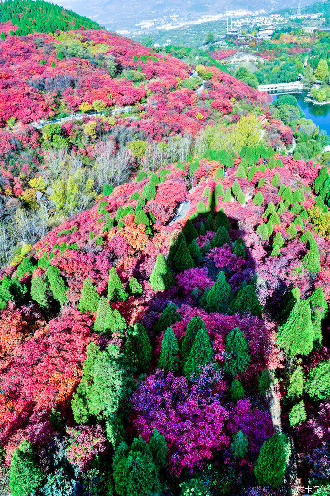 红遍万山的红叶谷【2020热门旅游景点】