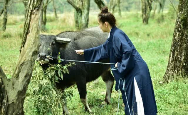 如何像李子柒一样火爆朋友圈？这一组绝美照片会给你答案！