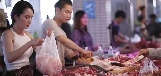  未来|现在开始养猪怎么样？未来有没有机会？