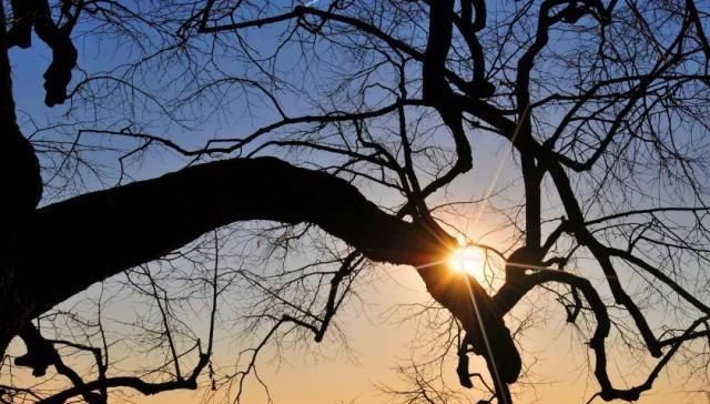 夕阳西下，日落摄影的13个构图技巧，你懂了吗？