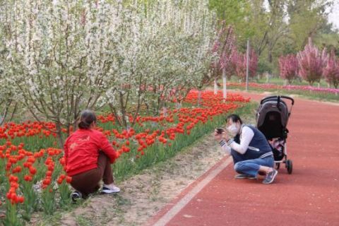  「闭园」大兴永定河绿色港湾5月6日起紧急闭园