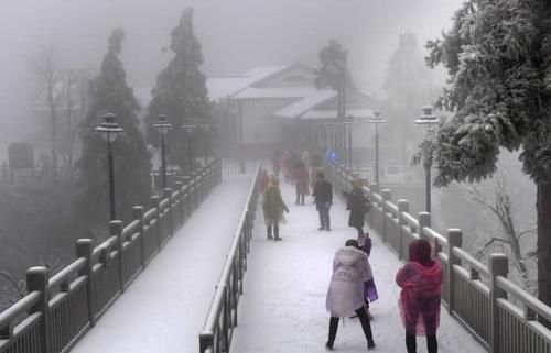 一夜间就入了冬，张家界漫山雾凇，成了个神奇的冰雪世界