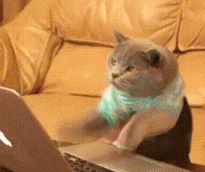 #GIF#爆笑GIF动态图:吓得我赶紧打了一套螳螂拳