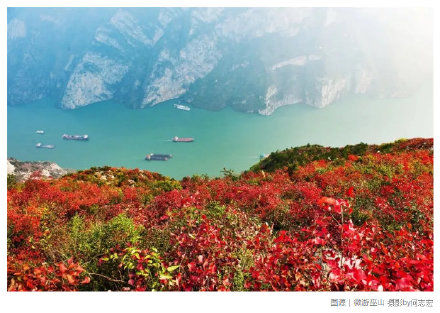 “巫山红叶节”开幕啦！万山红遍，赴一场与红叶的约定