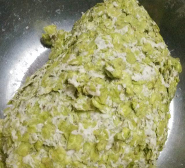  榆钱■榆钱窝窝头，怎能错过如此美味