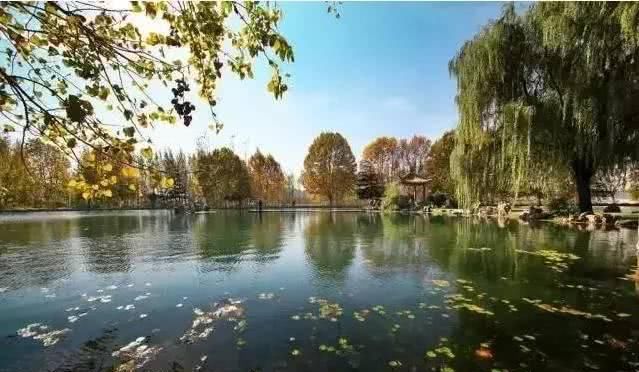 徐州这两天唱起了“小晴歌” 又是一年秋意浓,赏秋正当时!