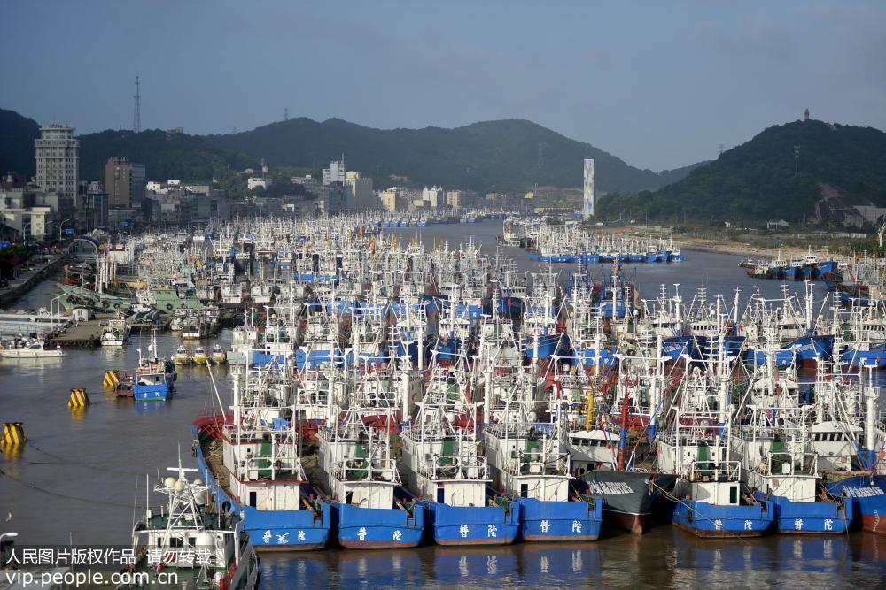 浙江舟山:万艘渔船归港避台风 玛莉亚 _【快资