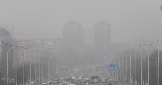 中国人不吃燕子，为何近年来燕子却越来越少，城市里基本见不到