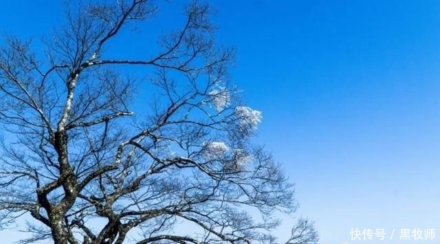 冰雪:灌阳风情:宝盖山的冰雪世界