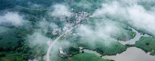 广西十多个县获“自治区级生态县”称号，点进来看有没有你家乡!