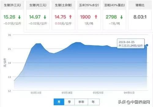 【猪价】养猪行情早知道—2019年4月5日最新生猪价格