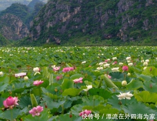 还记得《三生三世》的青丘么?是真实存在,已经美了上千年!