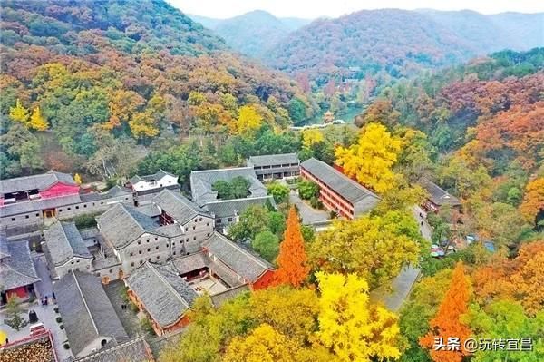 湖北当阳玉泉寺，千年银杏身“披”黄金甲