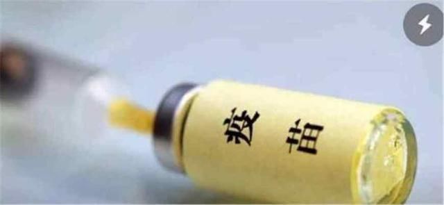 疫苗事件发酵，谢娜被气哭，章子怡爆粗，刘强东只用13个字怒怼！