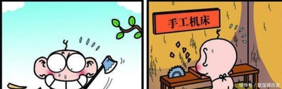  精致|呆头农场：小呆呆为鸟儿制作精致“木假腿”！这就是所谓的金鸡独立吗？
