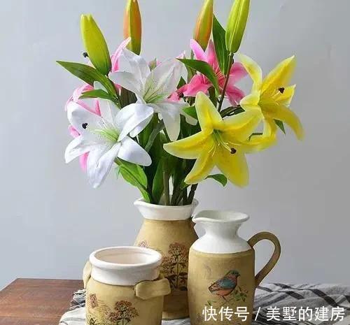  适合|5种花，真心不适合养“屋里”，喜欢可以养室外，更好