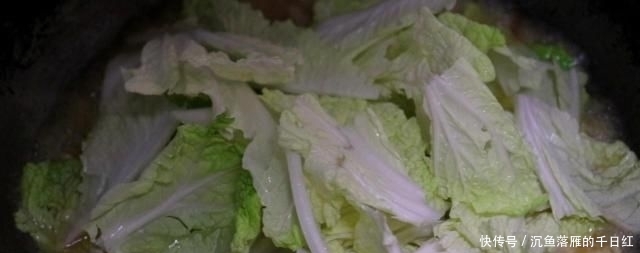  切成■白菜炖豆腐，先炒豆腐还是炒白菜？厨师长教你最正确做法，太香了