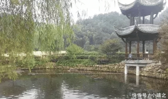  「全村」晒一个广东的村庄, 家家户户都住高档别墅, 全村都是土