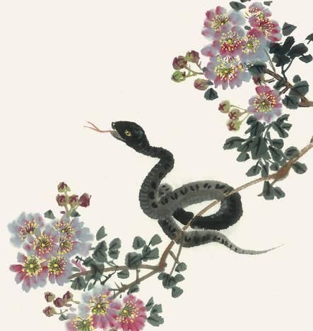  生肖：未来1个月，财运不可挡 ，好运自己来的3大生肖
