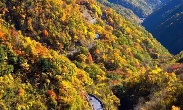 「自驾秦岭」秦岭这5条老公路，承包了最斑斓的深山秋色