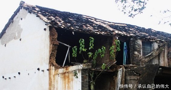 明年起，“村主任”将“取消”以下3种人建房资格，部分村民慌了