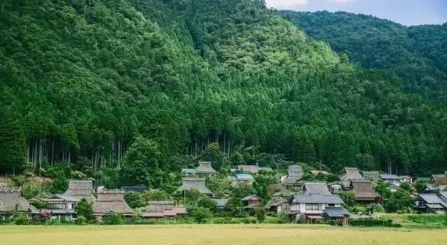 人口大城市化的日本，农村啥样？