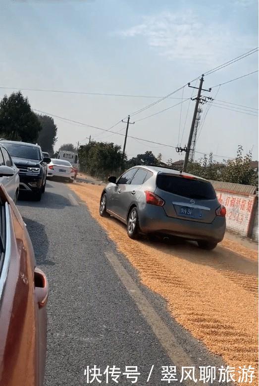  「玉米」河南焦作：村民公路铺满玉米，行驶车辆不断通过，快碾