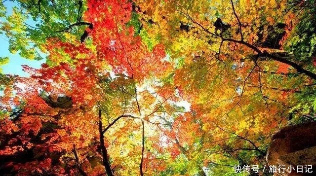 10月赏景胜地，错过一季再等一年