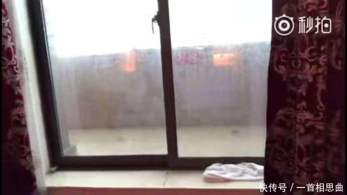 谢霆锋吐槽“中国好多水”, 被指责不爱国, 网友: 你们村里刚通网