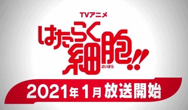  『工作』细胞拟人化《工作细胞》动画第2季2021年1月开播 新海报剧照公开