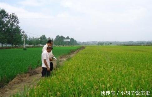 大家认为江西“最穷”的三个县，不在抚州，也不在赣州